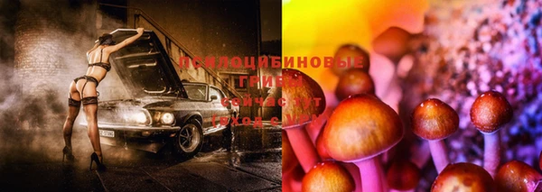 бутират Арсеньев
